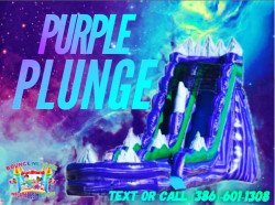 Purple Plunge 21 FT Waterslide